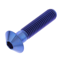 Linsenschraube TIFB835B