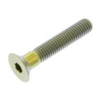 Senkschraube TICS845G