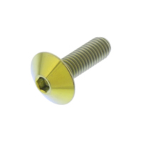 Linsenschraube TIFB516G