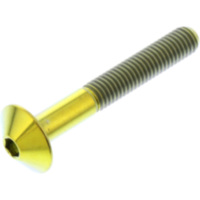 Linsenschraube TIFB535G