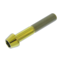 Schraube konisch TISC1055FG