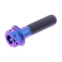 Schraube Dualdrive TIDD830RP