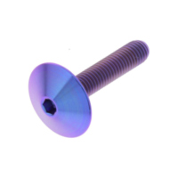 Linsenschraube TIFB525XLP