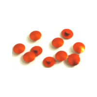 Kappen Schraube Satz JMP