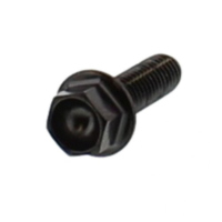 Schraube 6 Kant LSSHX516BK