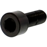 Zylinderschraube LSSPB616BK