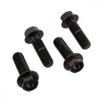 Klemmschraube Achse Satz SSFAPINCH250BK