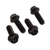 Klemmschraube Achse Satz SSFAPINCH250RBK