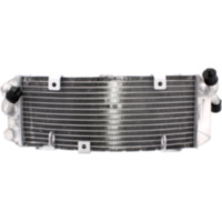 Wasserkühler JMP TRSR600