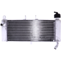 Wasserkühler JMP 2019040118