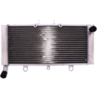 Wasserkühler JMP 2019040114