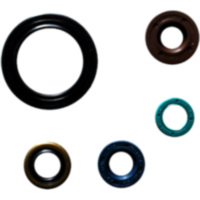 Wellendichtring Satz Athena P400250400049