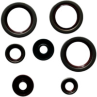 Simmering Wellendichtring Satz P400270400038