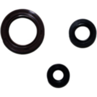 Wellendichtring Satz Athena P400250400036