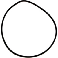 Zylinderkopfdichtung O-Ring Athena M752008000094