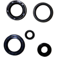 Simmering Wellendichtring Satz P400210400180