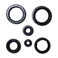 Simmering Wellendichtring Satz P400210400196