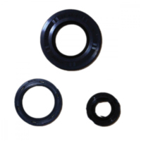 Simmering Wellendichtring Satz P400250400017