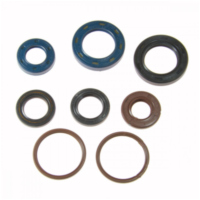 Simmering Wellendichtring Satz Athena P400210400218