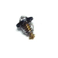Thermostat Tourmax TMT106