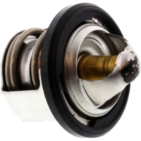 Thermostat Originalersatzteil 82831R5