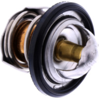 Thermostat Originalersatzteil 490541053