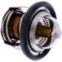 Thermostat Originalersatzteil 49054Y003