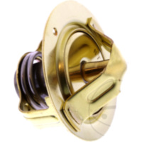 Thermostat Originalersatzteil 1AE1241000