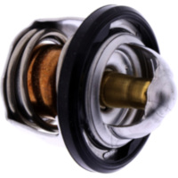 Thermostat Originalersatzteil 2TV1241100