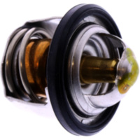 Thermostat Originalersatzteil 1767008D10000