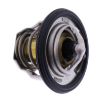 Thermostat Originalersatzteil 19300HN2003