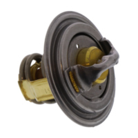 Thermostat für: BMW Original 11537727074