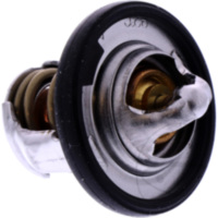 Thermostat Tourmax
