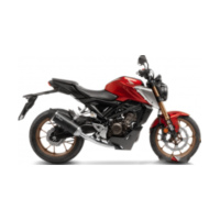 Schalldämpfer SBK Carbon Lv One EVO