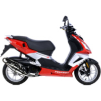 Auspuff Endtopf Schalldämpfer Handmade TT Leovince 4059B