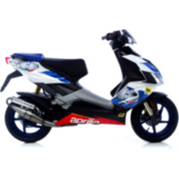 Auspuff Endtopf Schalldämpfer Handmade TT Leovince 4075