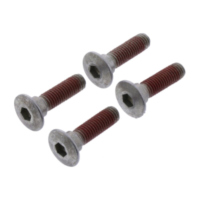 Schraube Bremsscheibe Satz TRW MSS1254