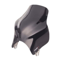 Scheibe Top Puig 1309N