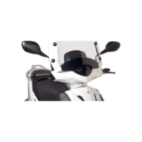 Scheibe T.S. Puig 6851W