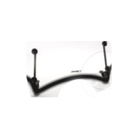 Scheibe T.S. Puig 9241W