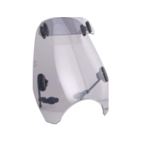 Scheibe CUSTOM II Visier Puig