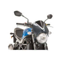 Scheibe Retrovision Puig 8927N