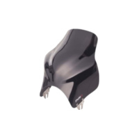 Scheibe Top Puig 4115N