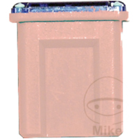 Sicherung PAL J 30A 1er Blister