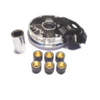 VARIOM TUNING Athena P400480110004