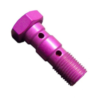 Hohlschraube doppelt M10 x 1.00 26501010