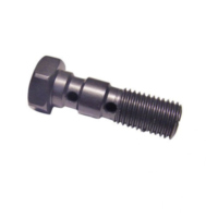 Hohlschraube doppelt M10 x 1.25 26502011