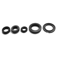 Simmering Wellendichtring Satz Tourmax OSL230