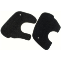 Luftfilter 100600270