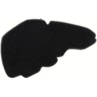 Luftfilter 100600980